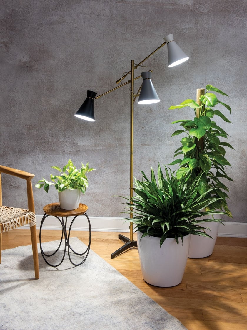 3-Arm Floor Lamp for Plants | Gardener's Supply