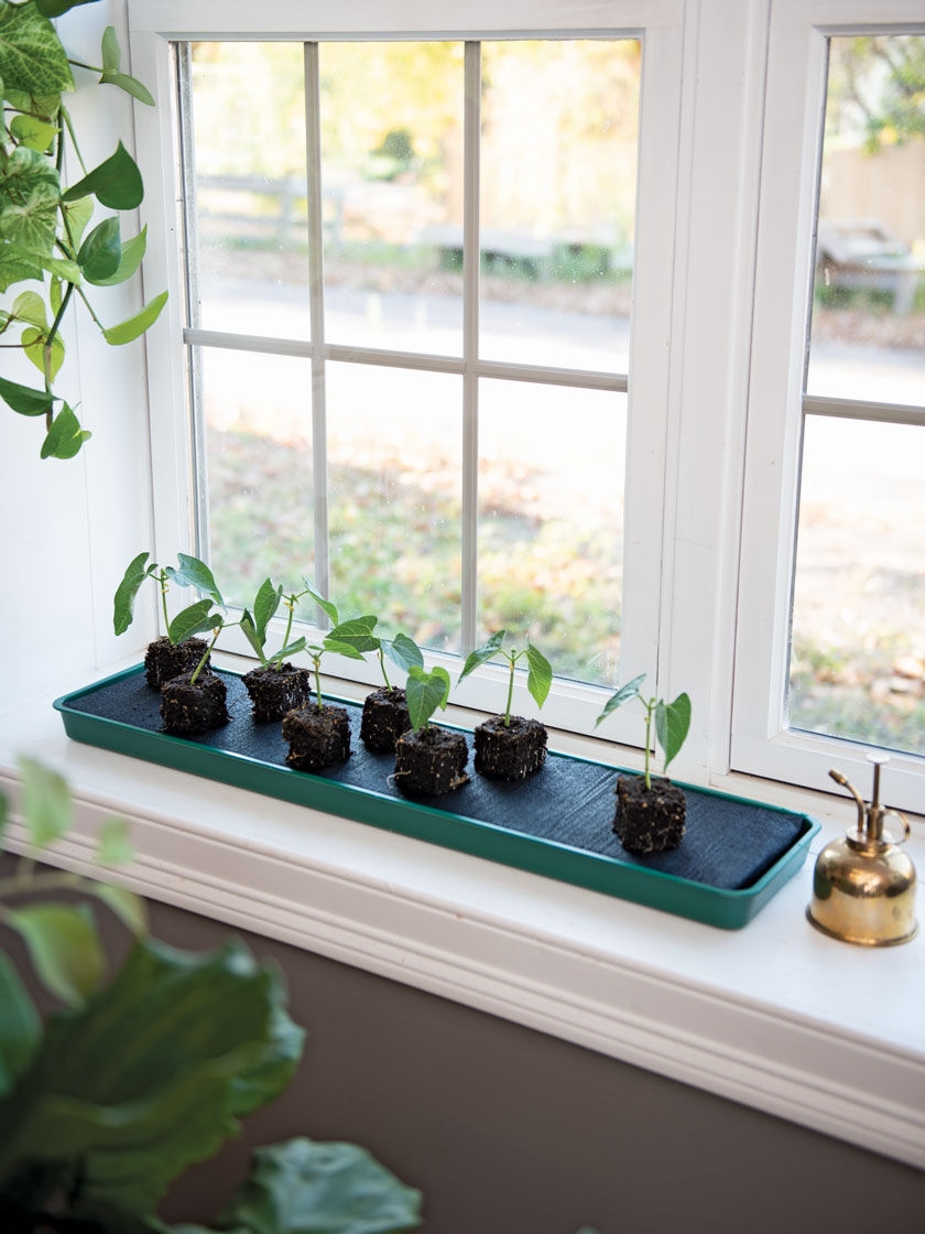 Window Sill Planter | Gardener's Supply