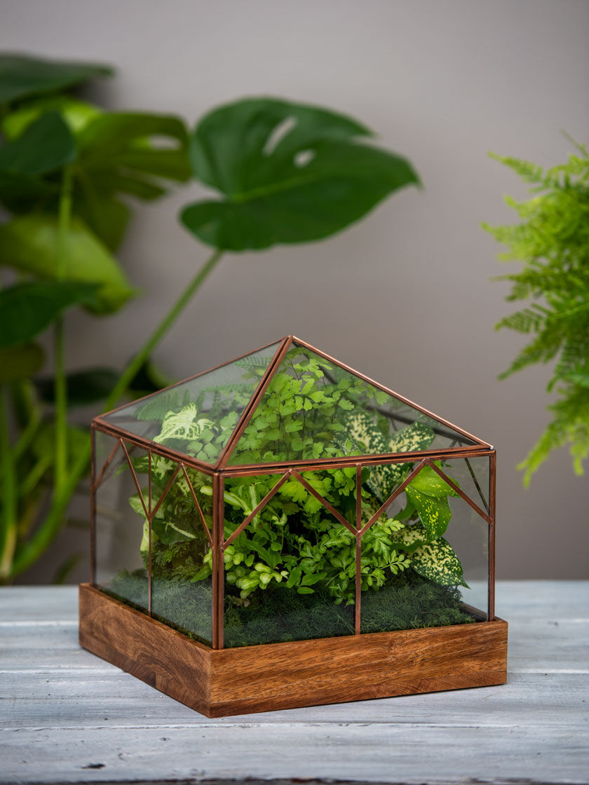 Art Decco Copper and Glass Terrariums | Gardener's Supply