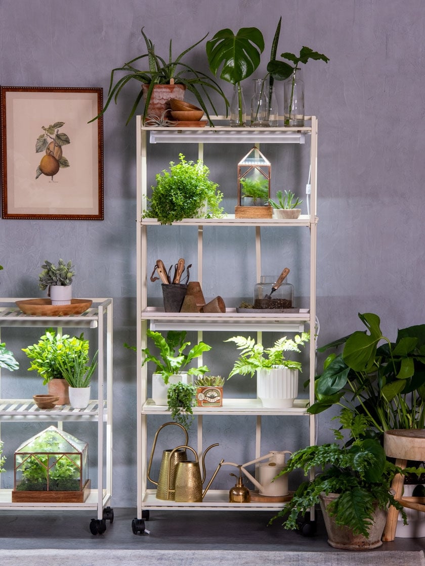 Oslo Customizable 4-Tier LED Grow Light Shelves | Gardeners.com