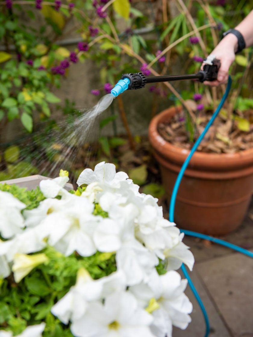 Indoor Outdoor Plant Sprayer & Hose, 50'